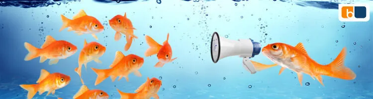 Comment rédiger un objet d’emailing efficace ?