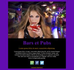 Bars and Pubs-basic-03 (FR)