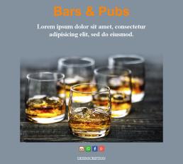 Bars and Pubs-basic-05 (FR)