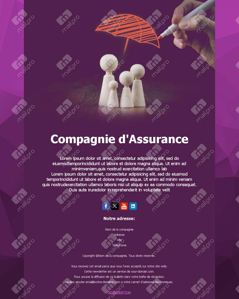 Emails Professionnels