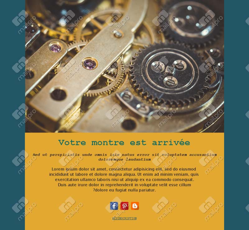 Montres de luxe et design