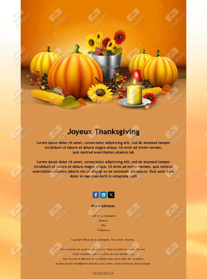 Joyeux Thanksgiving
