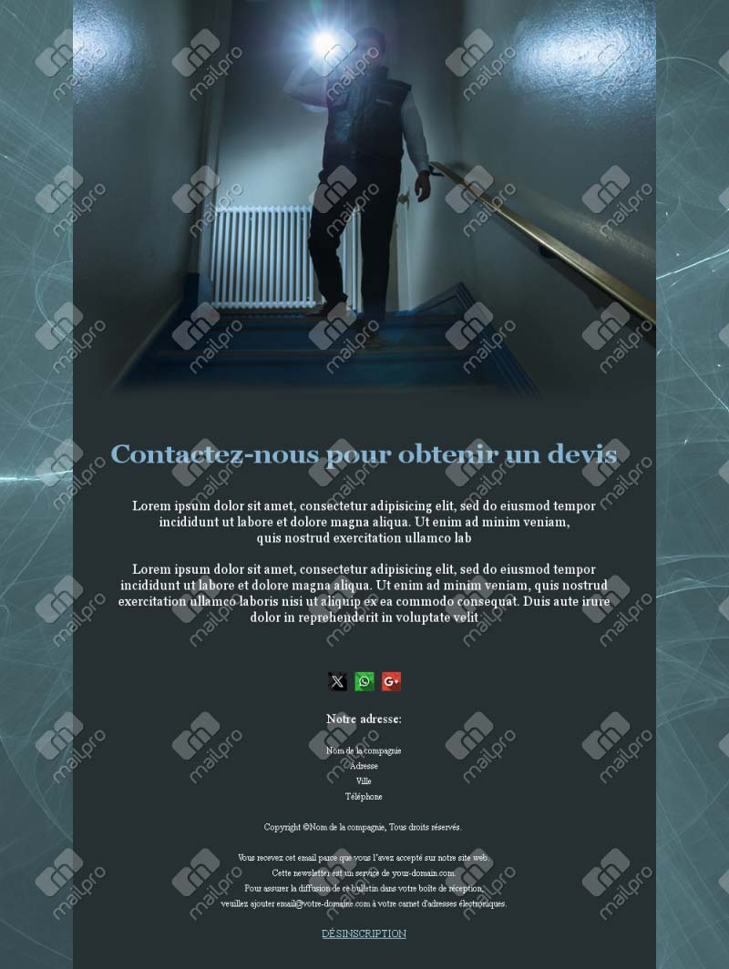 Sécurité Professionnelle