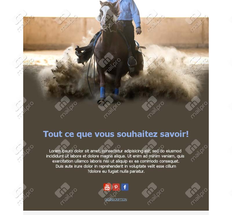 Équitation Passion