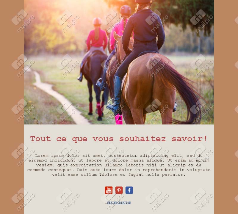 Équitation Passion