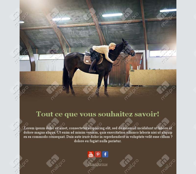 Équitation Passion