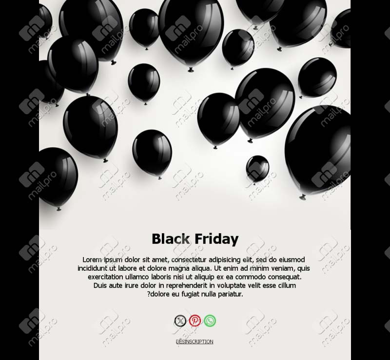 Promotions Black Friday