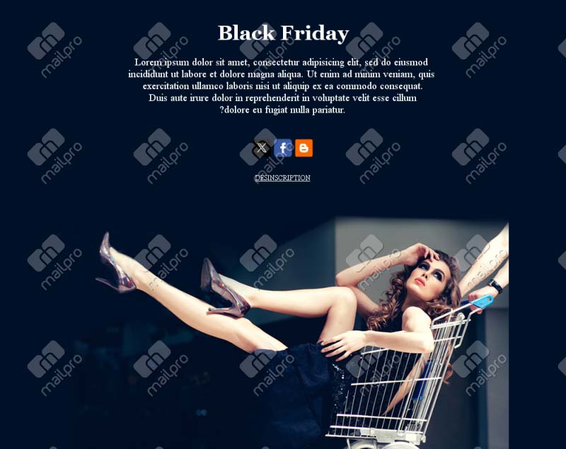 Black Friday à Saisir