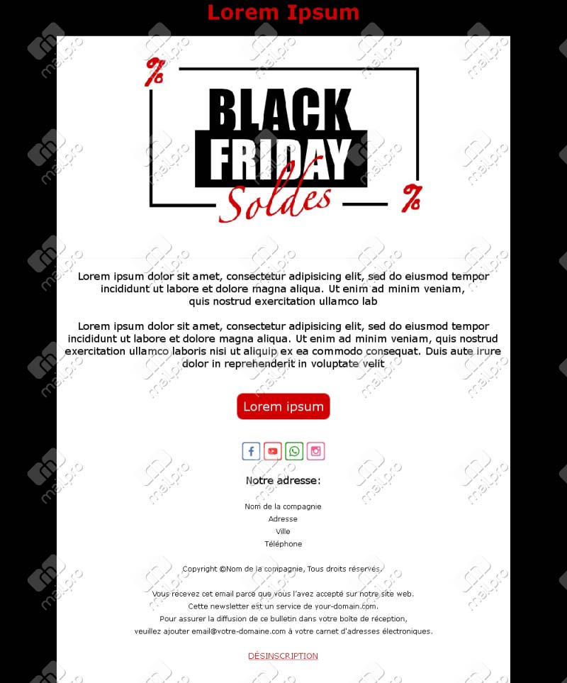 Modèle Promotion Black Friday
