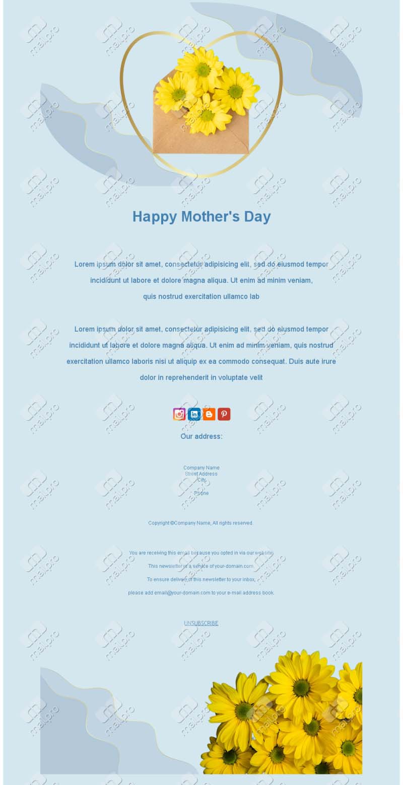 Carte Mère Élégante