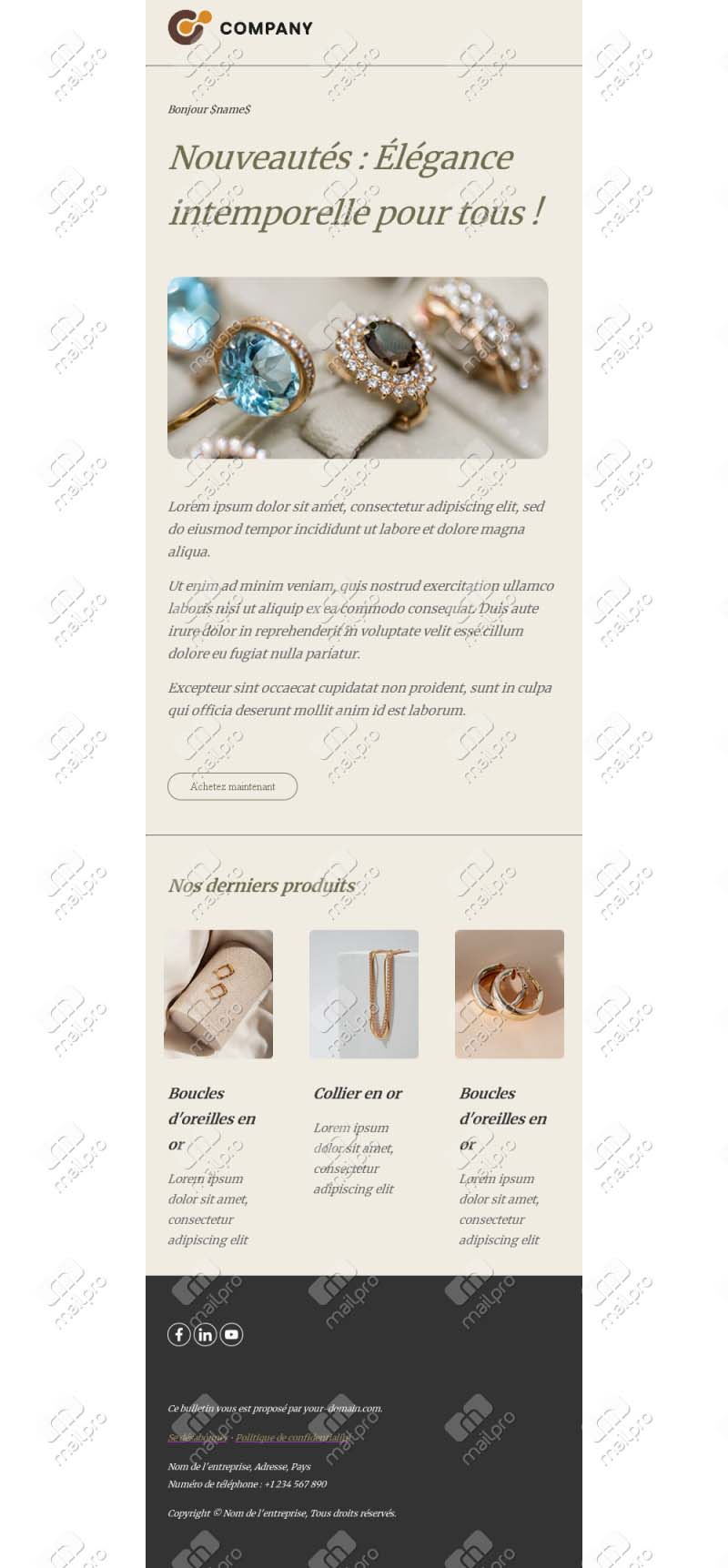 Modèle Email Bijoux Élégant