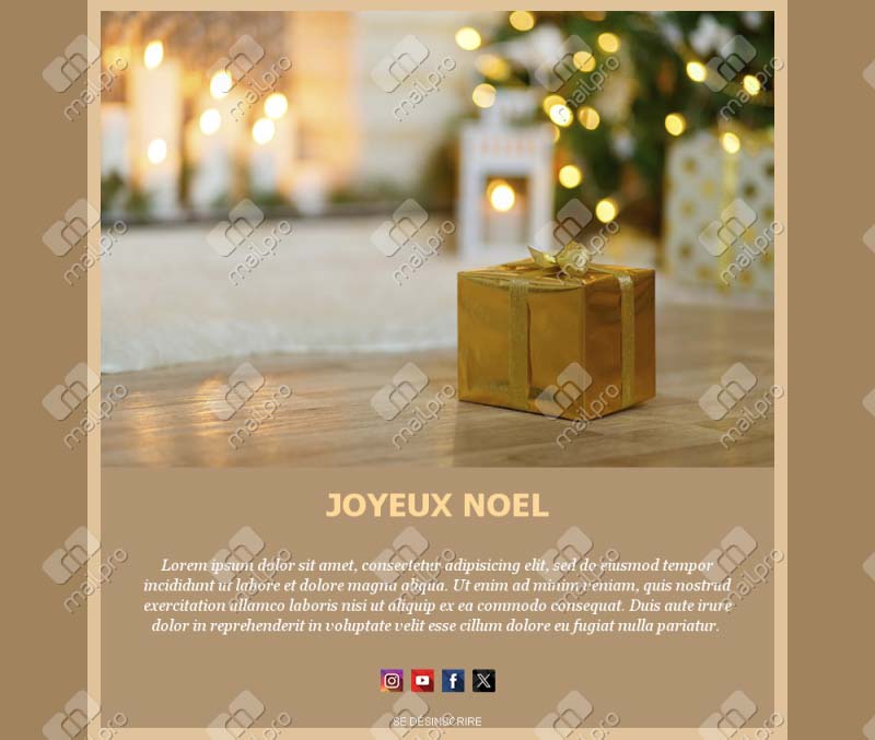 Modèles Noël élégants