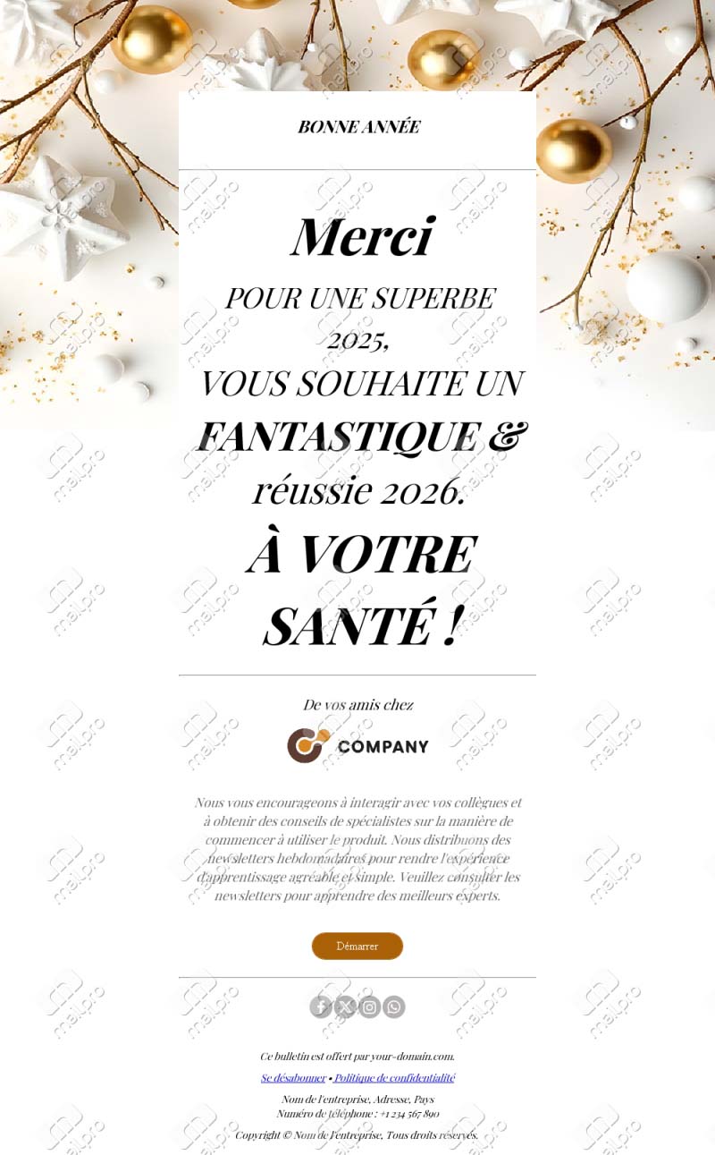 Vœux de Nouvel An 2026