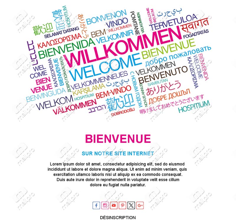 Modèles Email Bienvenue