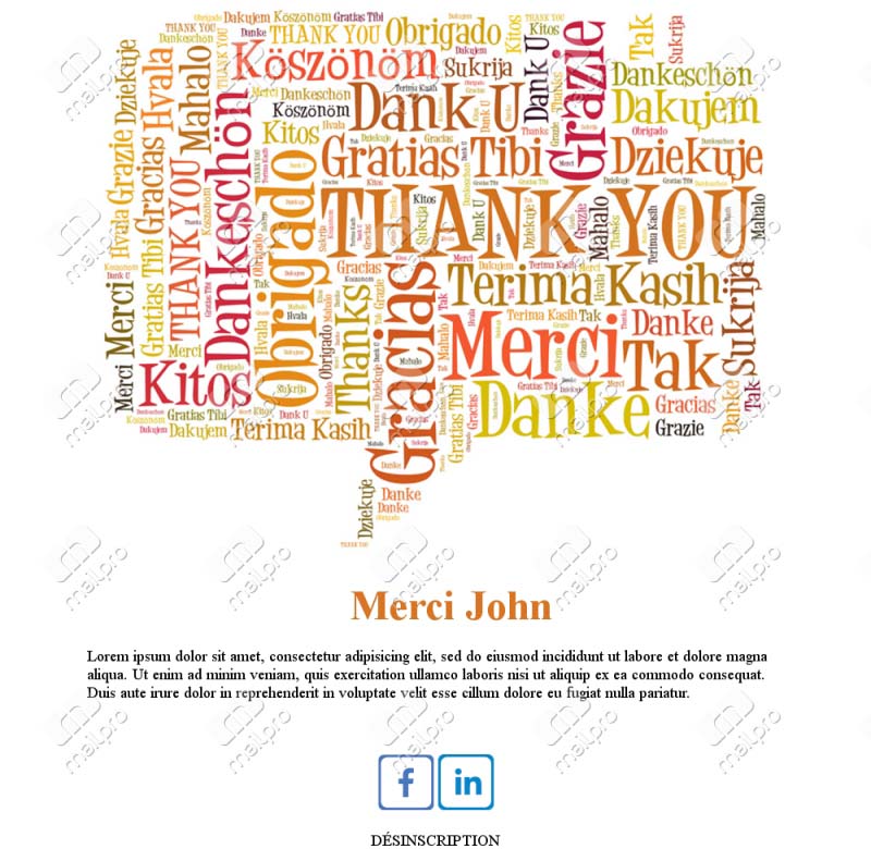 Email Template Merci Clients