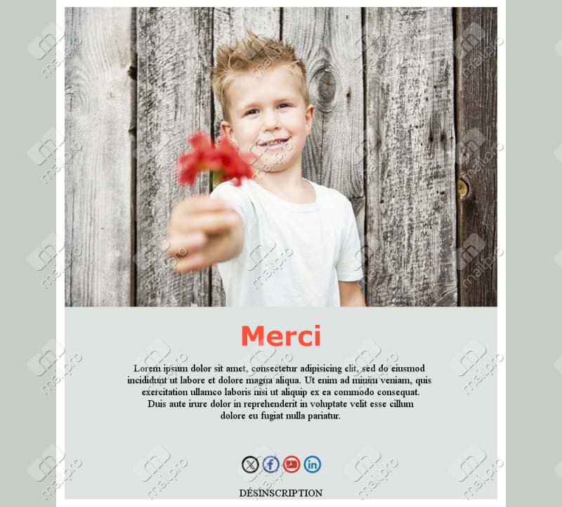 Template Email Merci Achat