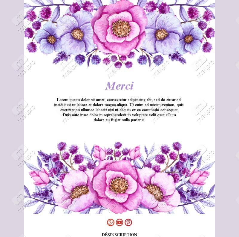 Template Email Merci Équipe