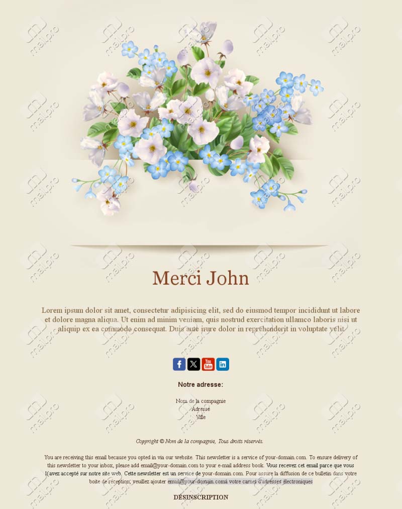 Email Template Merci Après Achat