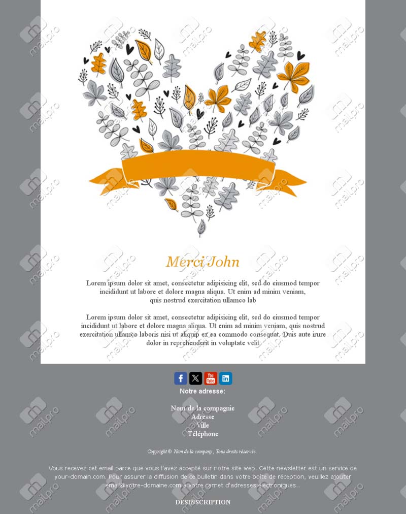 Template Email Merci Retour