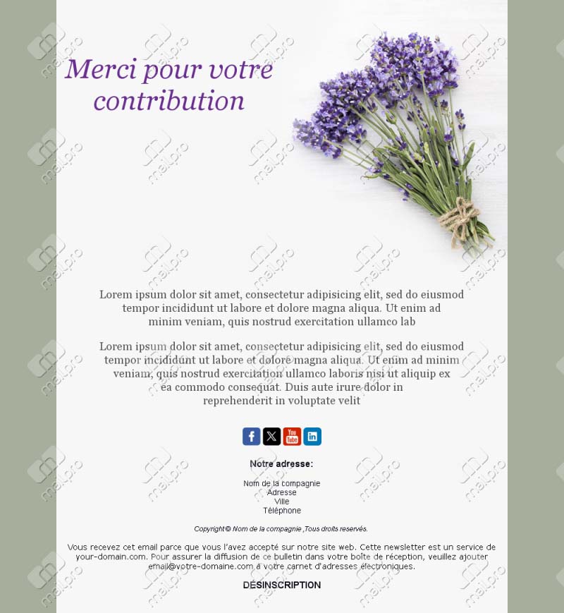 Templates Email Merci Série
