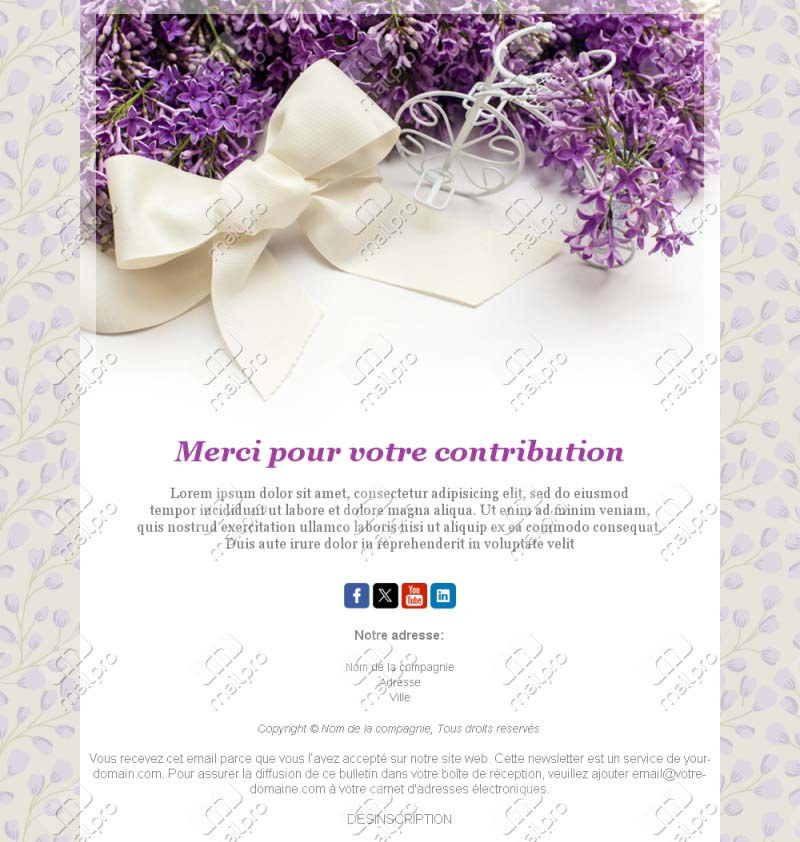 Template Email Merci Clients Pro