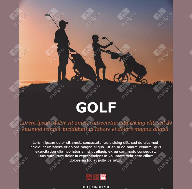 ewsletter Coaching Bien-être	