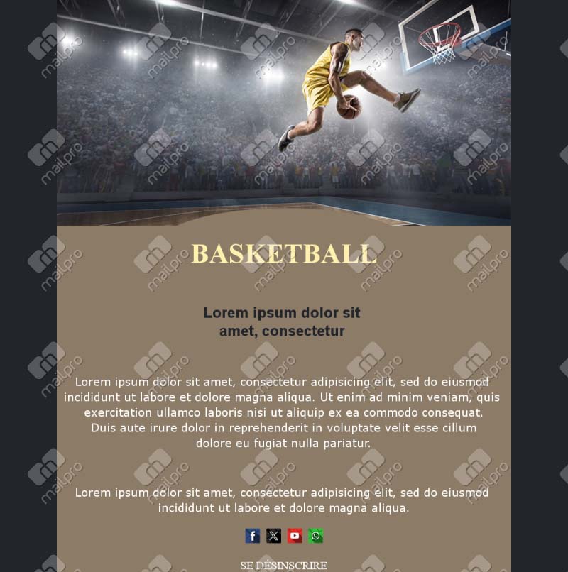 Campagne Basketball France