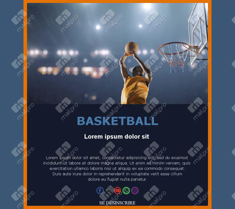 Newsletter Basketball Portugal