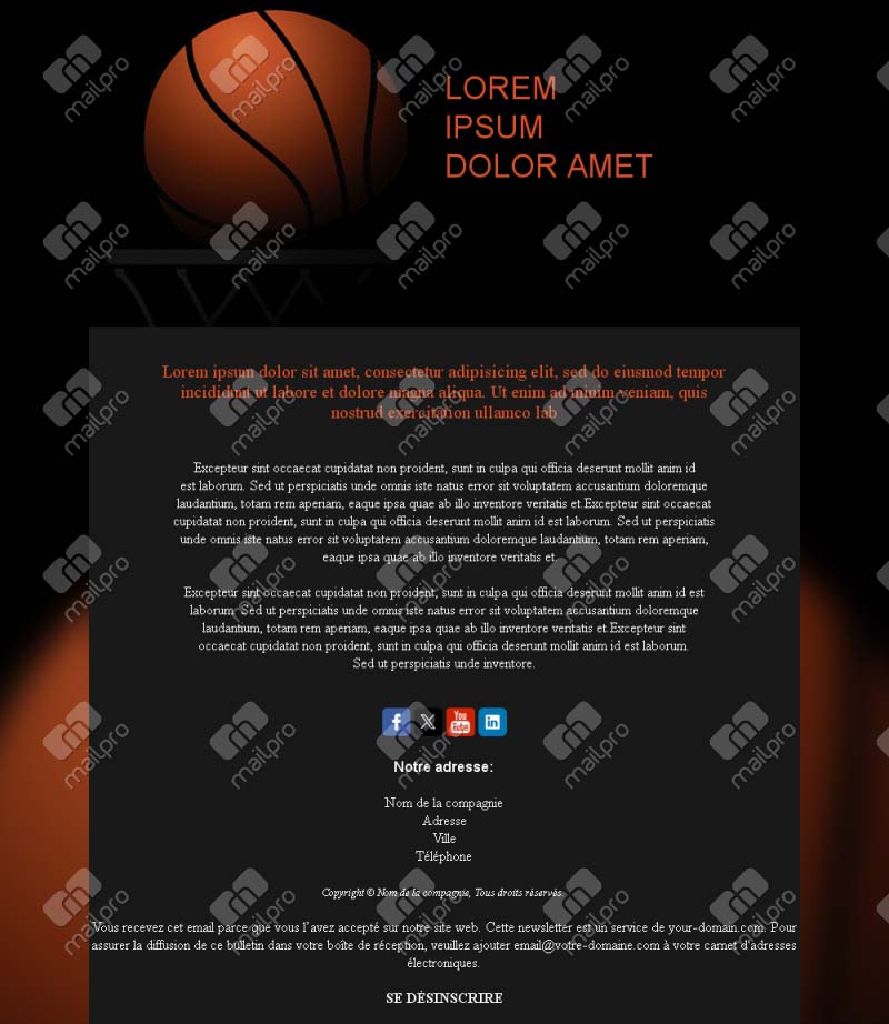 Newsletter Basketball France