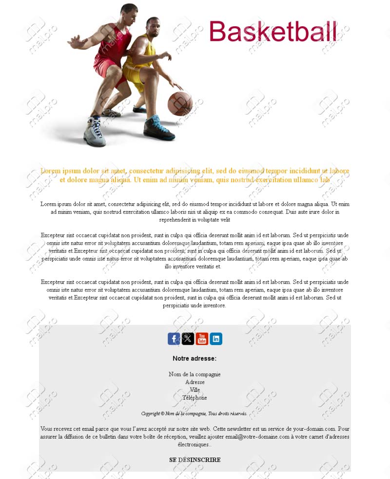 Newsletter Basketball France