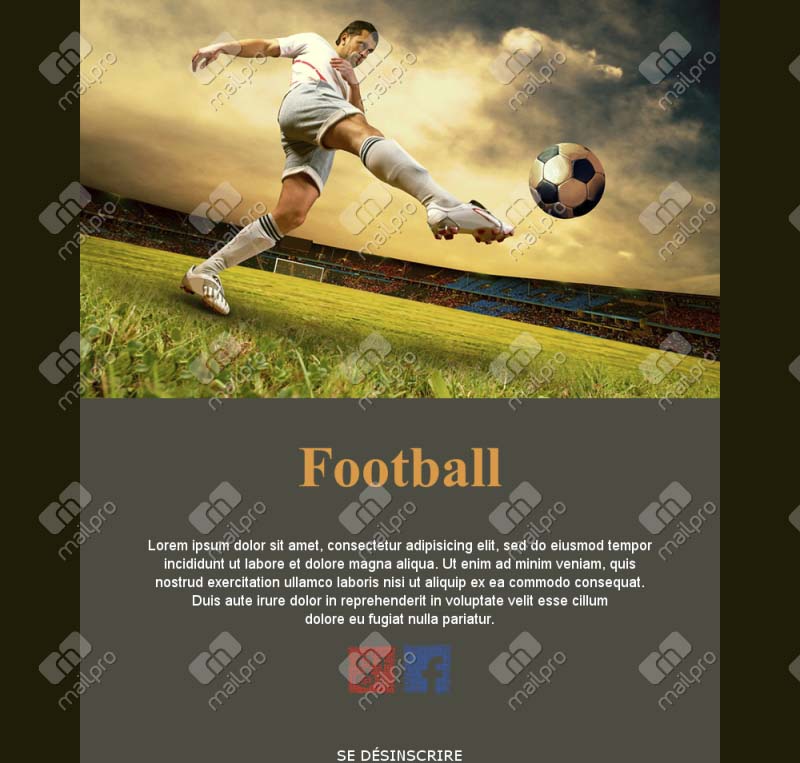 Email Football Fans France