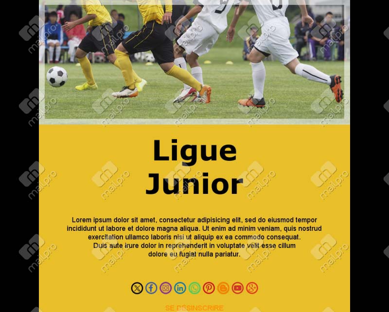 Email Football France Club