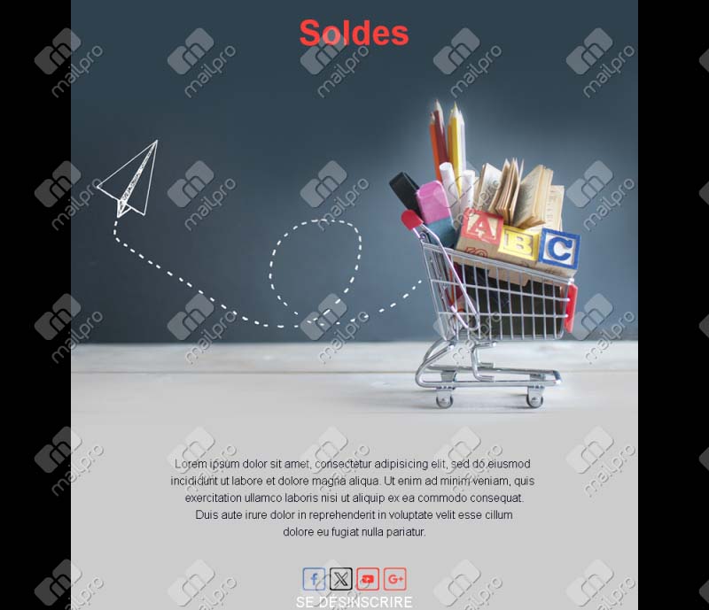 Email Vente Campagne