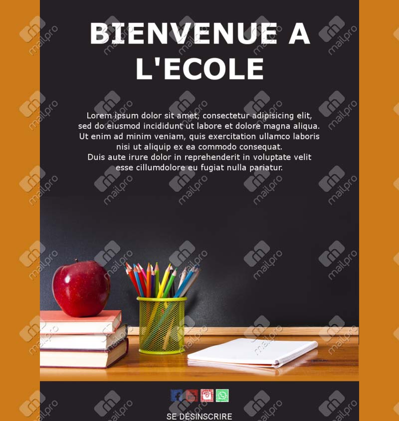 Modèle Email Planning d’Examens