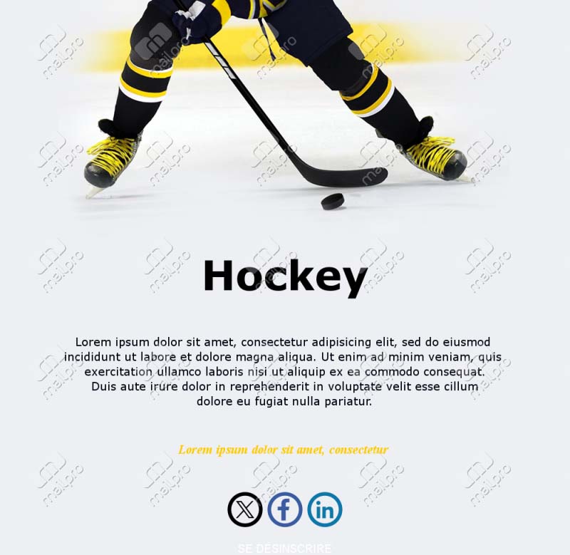 Modèles Hockey Compétition