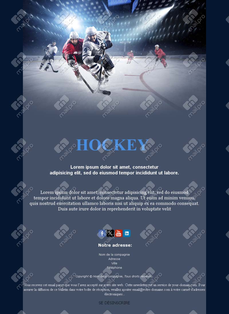 Email Hockey France Pro