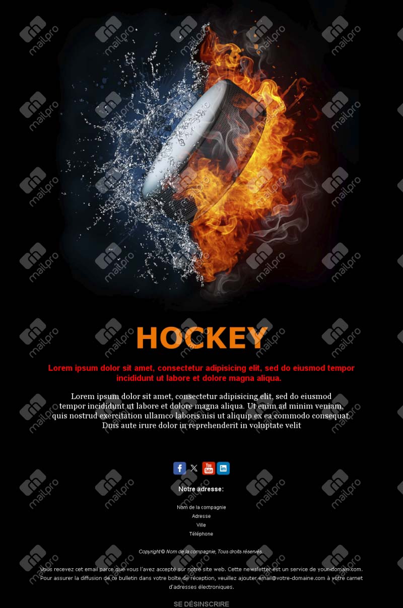 Email Hockey France Club