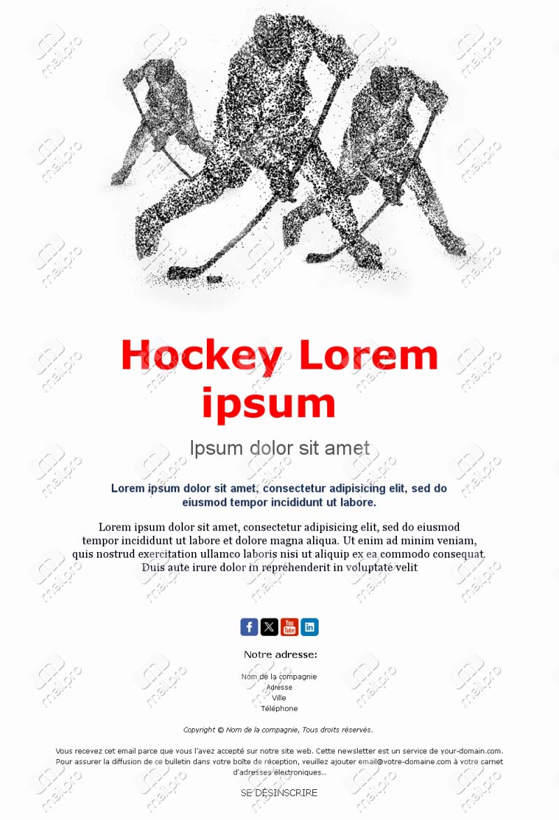 Email Hockey Ligue France