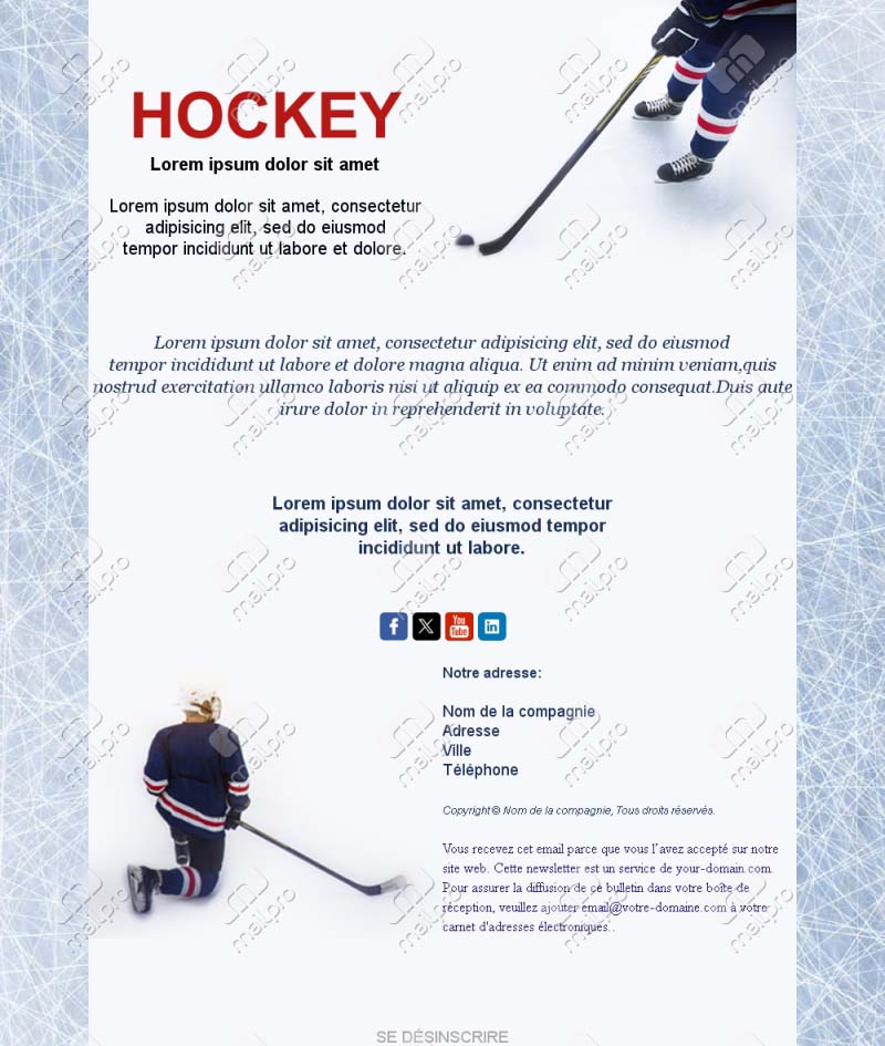 Email Hockey Sport France
