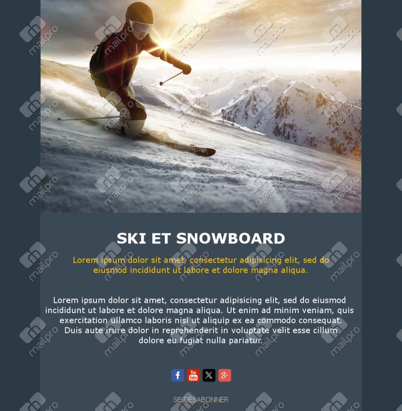 Ski Newsletter France