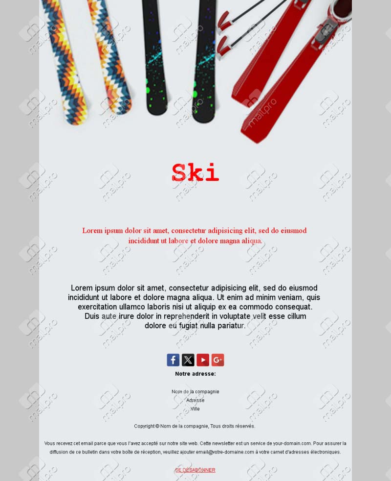 Campagne Ski Professionnelle