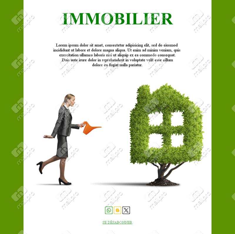 Courriel Agence Immobilière
