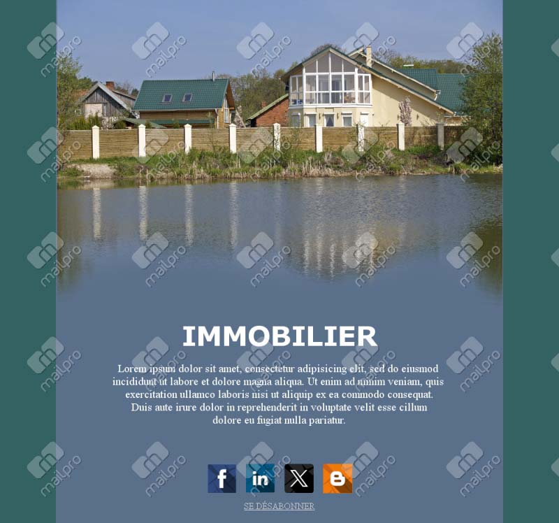 Newsletter Immobilier