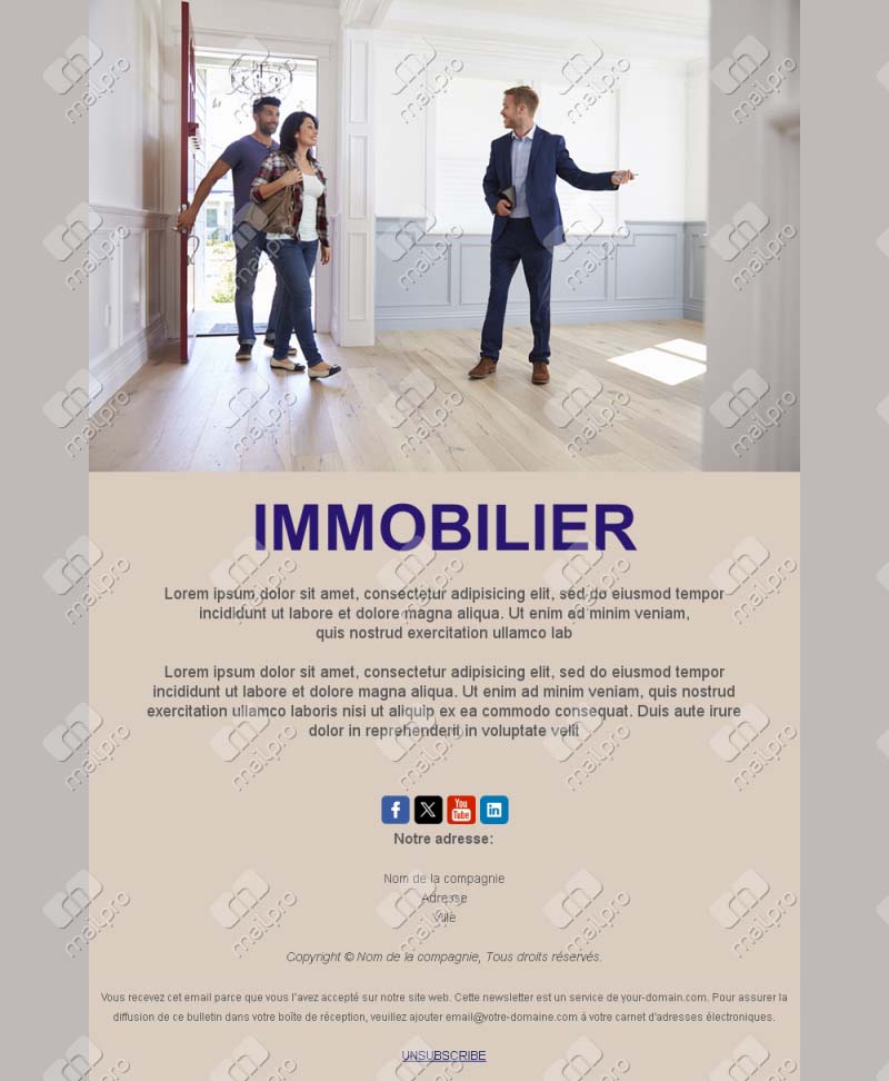 Modèle Email Immobilier