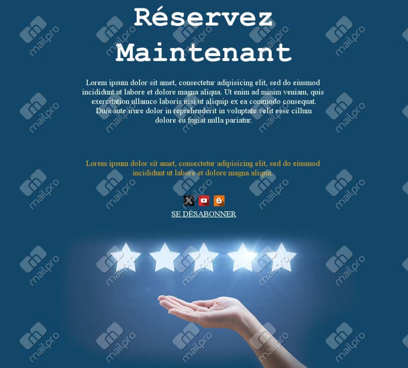 Newsletter Hôtel Professionnel