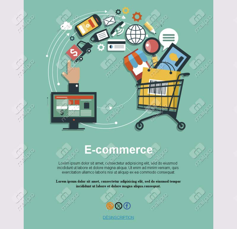 Réussite E-Commerce