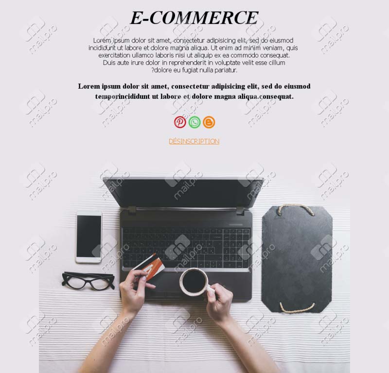 Promotions en Ligne