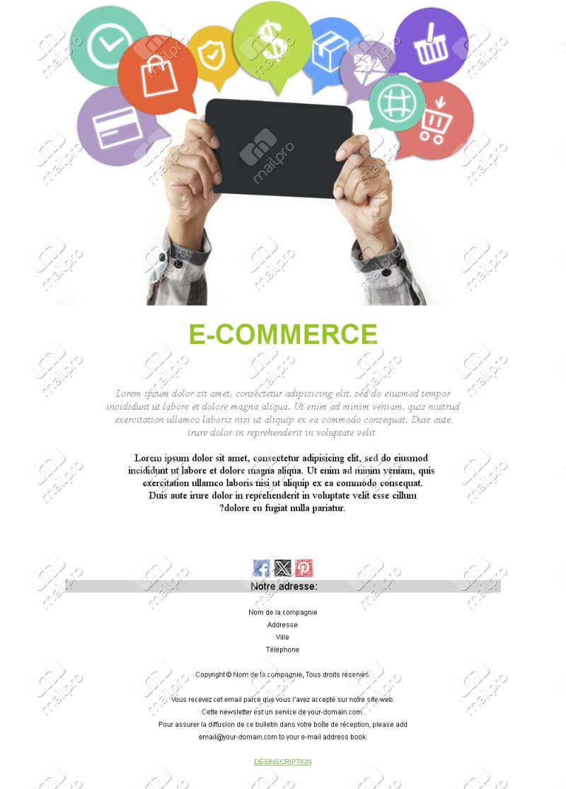 Commerce en Ligne