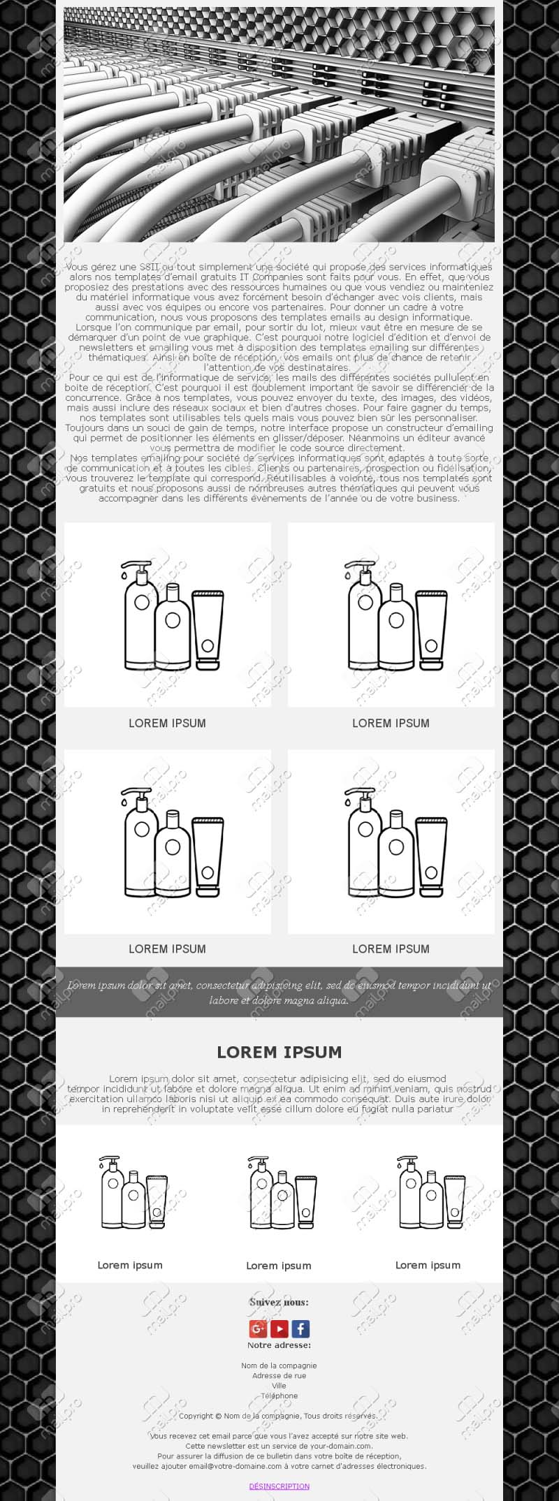 Newsletter Entreprise IT