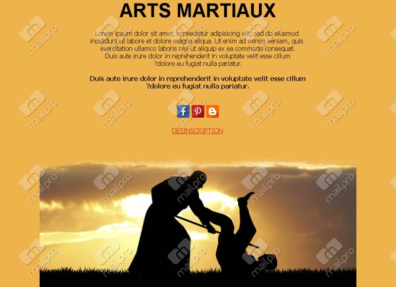 Arts Martiaux Pro